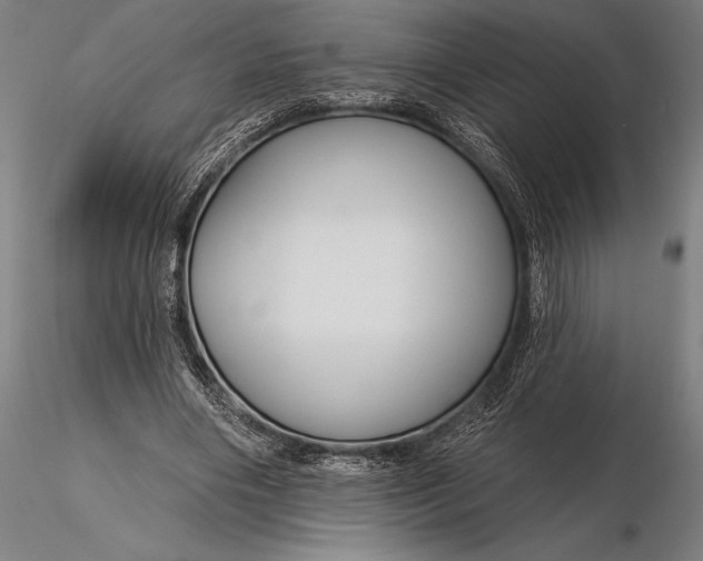 X0000116160490200912141224