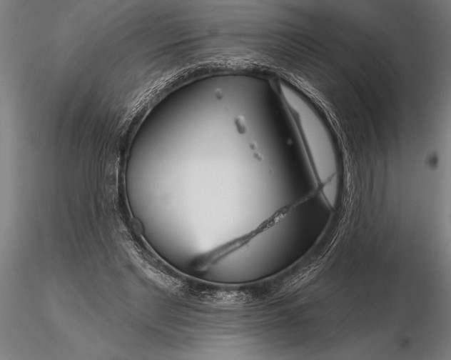 X0000116160493200912141224