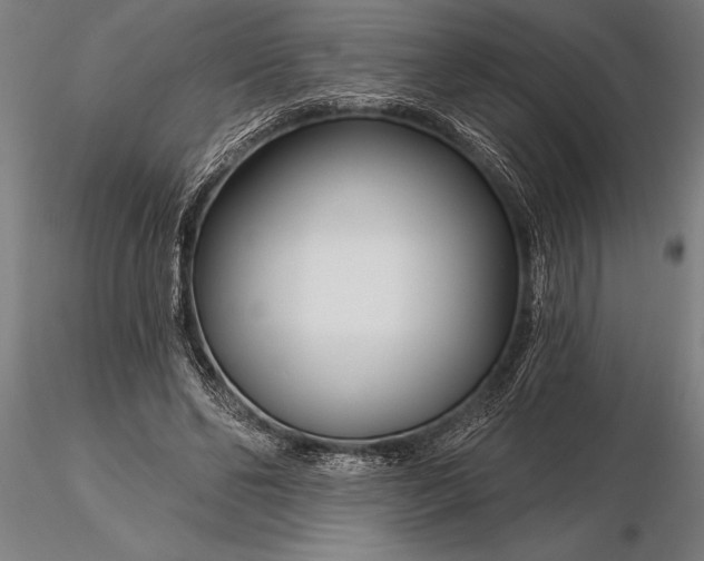 X0000116160494200912141224