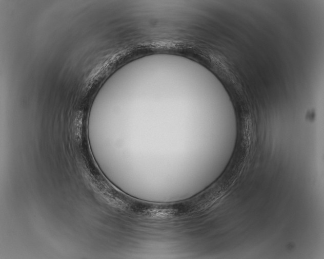 X0000116160495200912141224