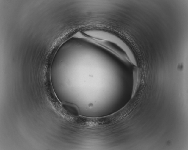 X0000116160496200912141224