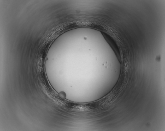 X0000116160498200912141224