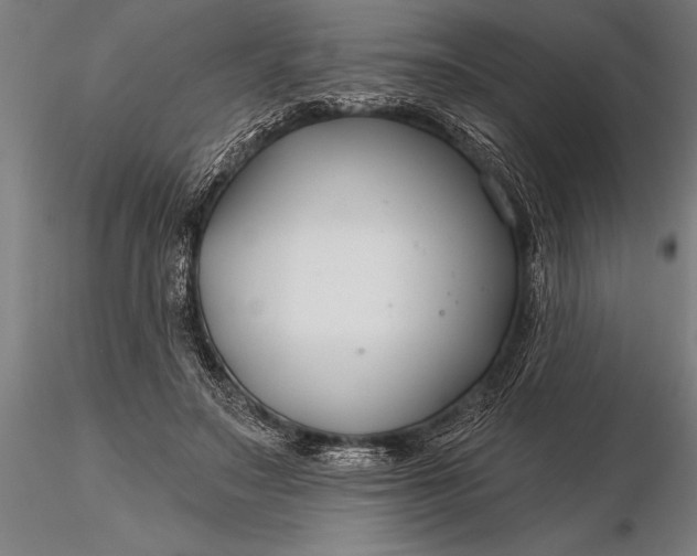 X0000116160499200912141224