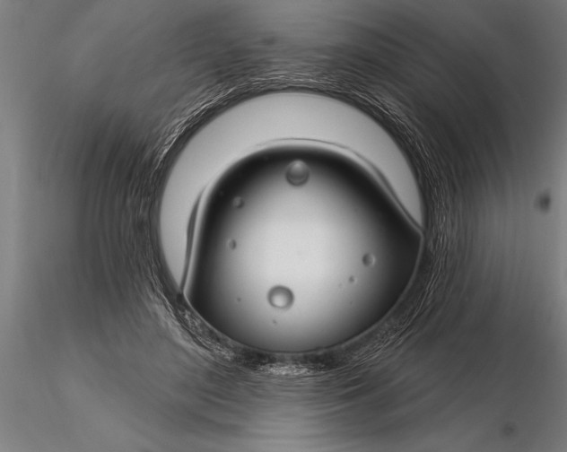 X0000116160500200912141224