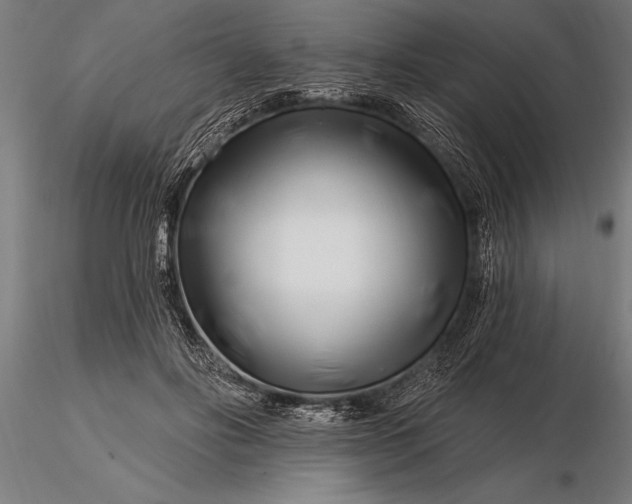 X0000116160502200912141224