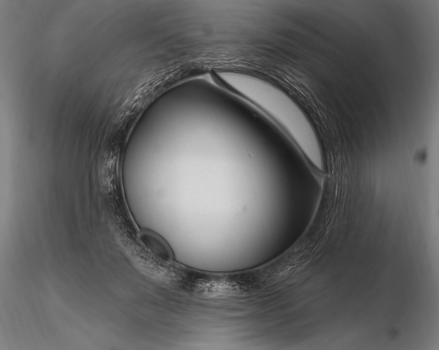 X0000116160503200912141224