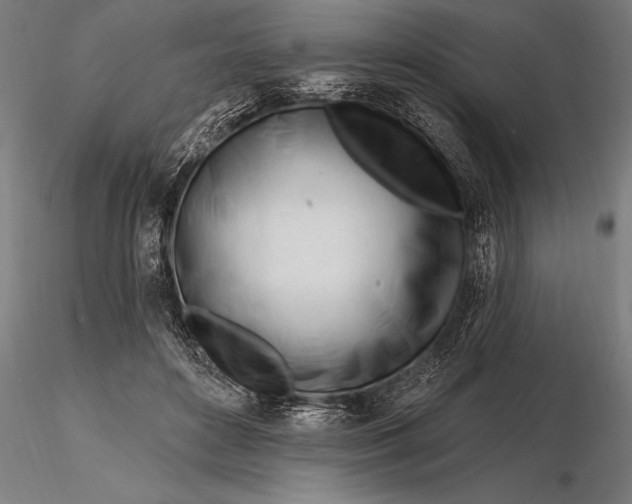 X0000116160504200912141224