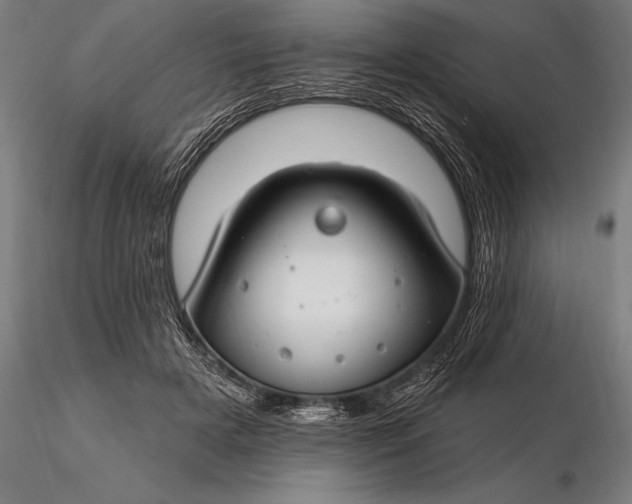 X0000116160505200912141224
