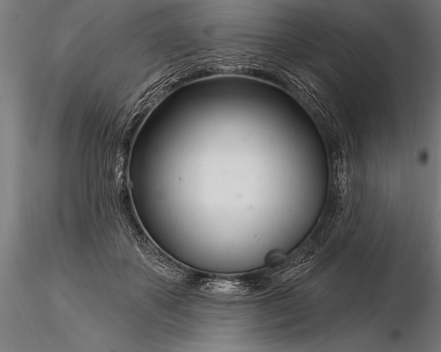 X0000116160507200912141224