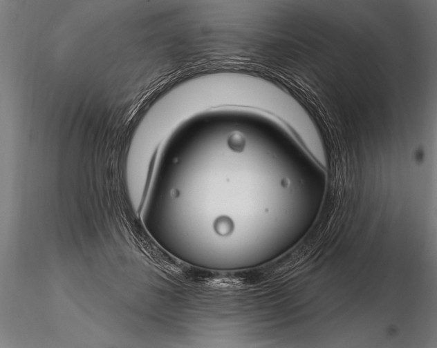 X0000116160508200912141224