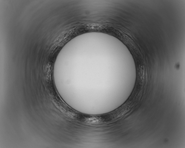 X0000116160511200912141224