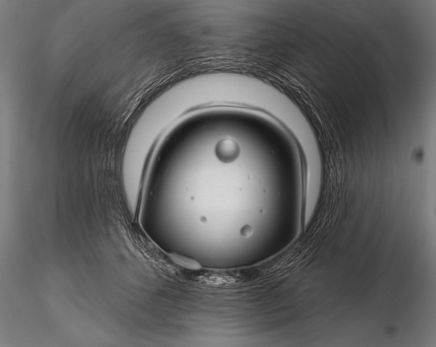 X0000116160512200912141224