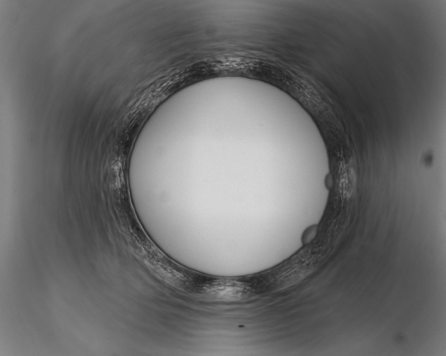 X0000116160514200912141224