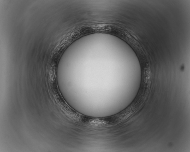X0000116160515200912141224