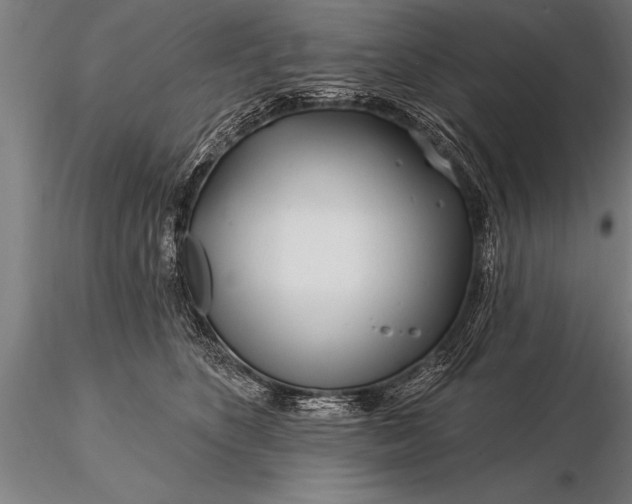 X0000116160516200912141224