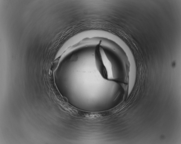 X0000116160517200912141224