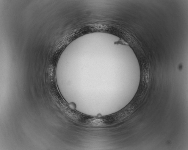 X0000116160518200912141224