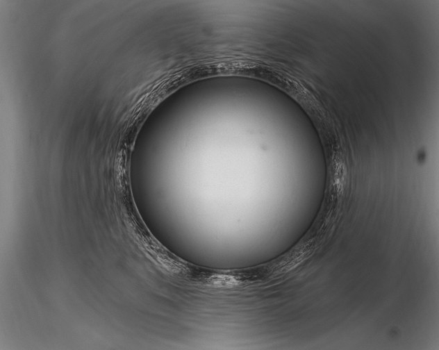 X0000116160519200912141224