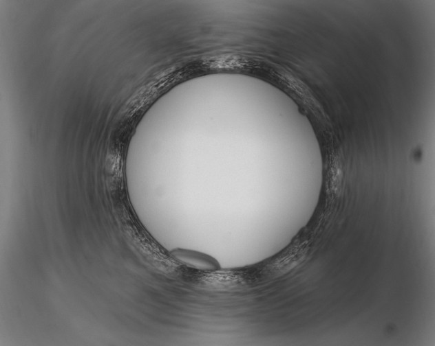 X0000116160521200912141224