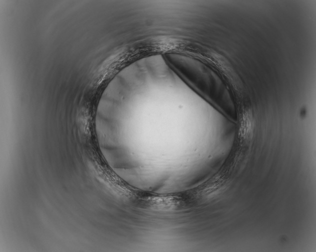 X0000116160524200912141223
