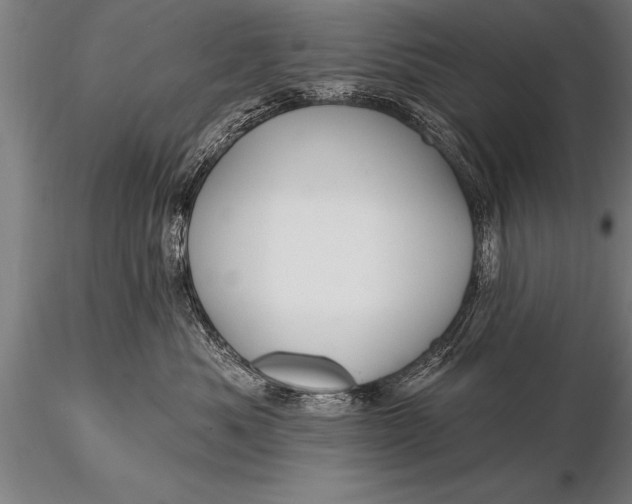 X0000116160525200912141223
