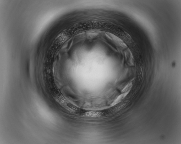 X0000116160526200912141223