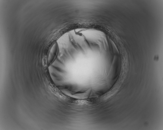 X0000116160528200912141223