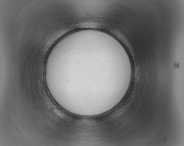 X0000116160529200912141223