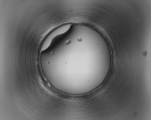 X0000116160530200912141223