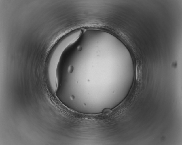 X0000116160531200912141223