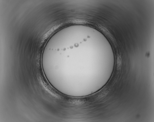 X0000116160533200912141223