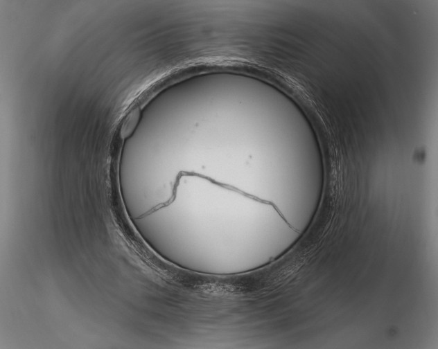 X0000116160535200912141223