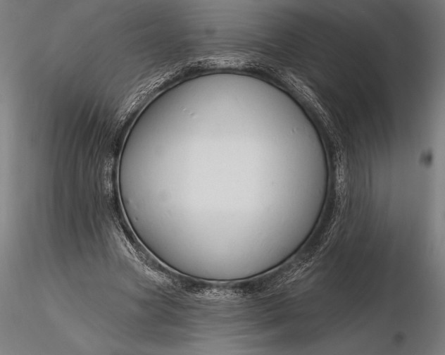 X0000116160537200912141223
