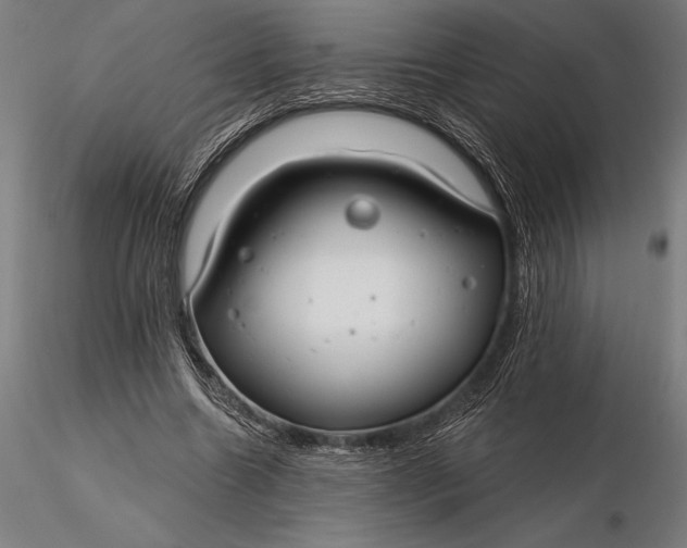 X0000116160538200912141223