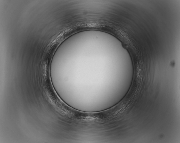 X0000116160542200912141223