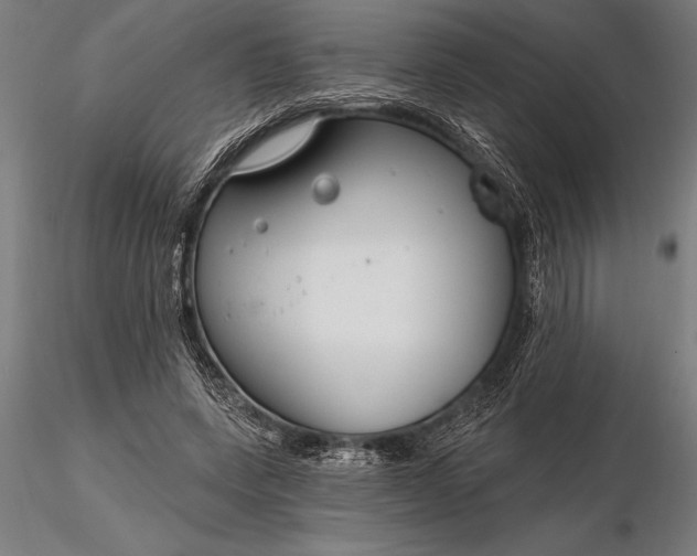 X0000116160543200912141223