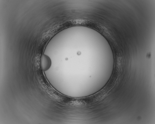 X0000116160545200912141223