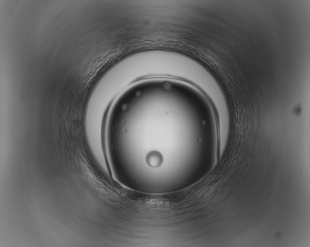 X0000116160546200912141223