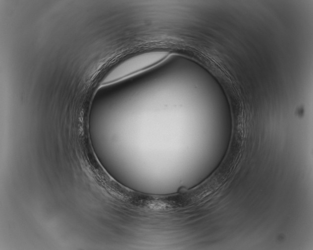 X0000116160547200912141223