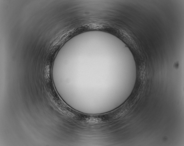 X0000116160549200912141223