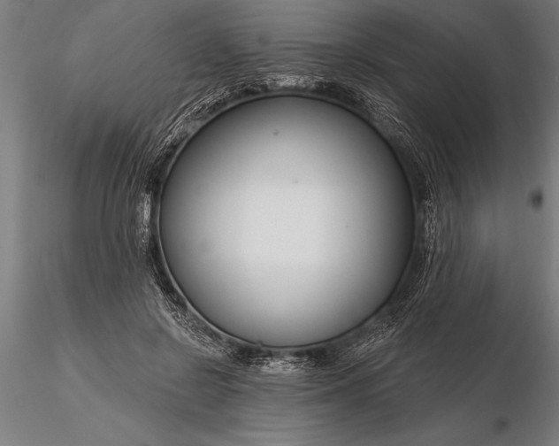 X0000116160550200912141223
