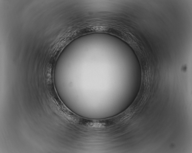 X0000116160553200912141223