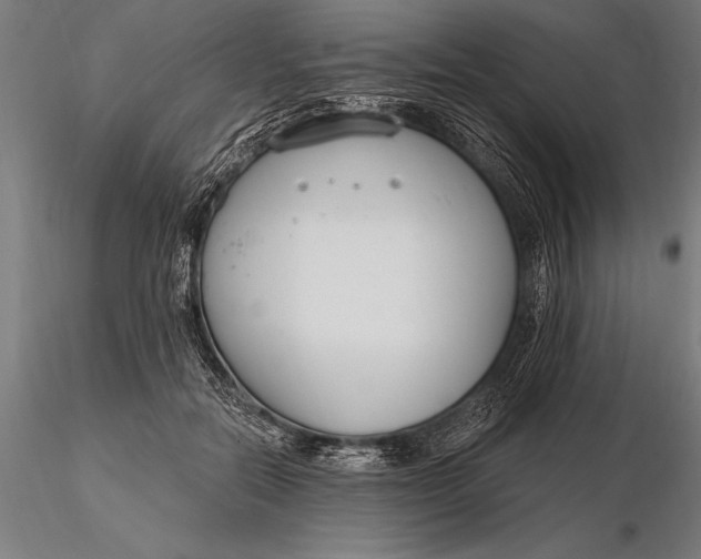 X0000116160554200912141223