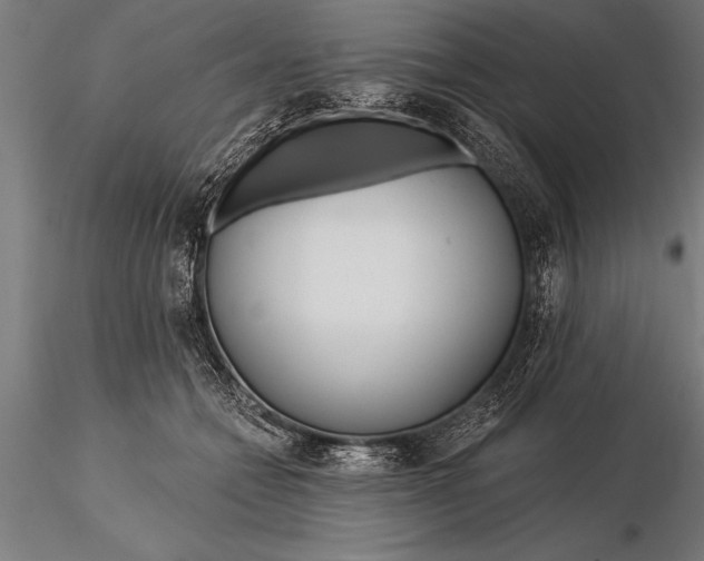X0000116160558200912141223