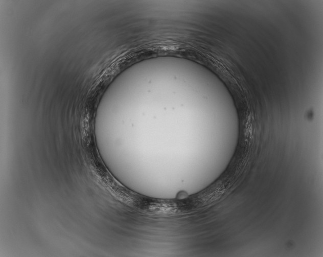 X0000116160559200912141223