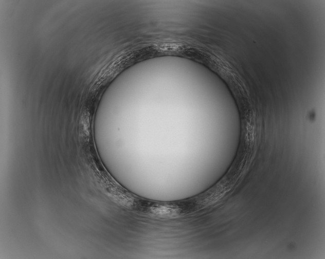 X0000116160561200912141223