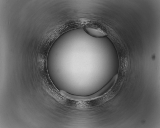 X0000116160562200912141223