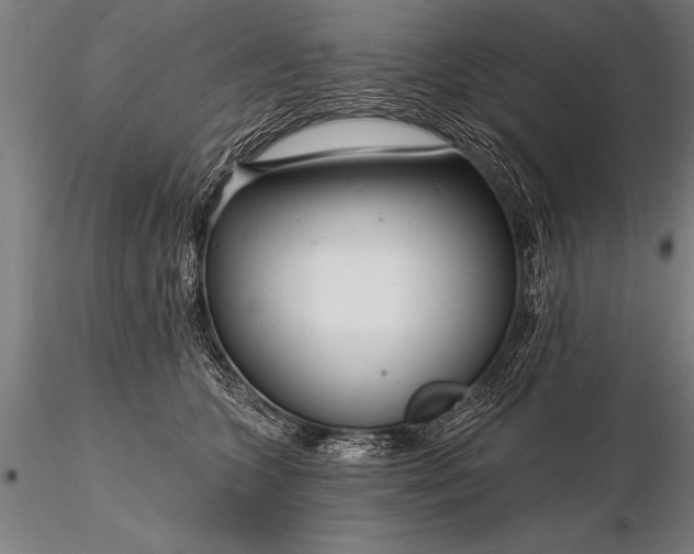 X0000116160563200912141223