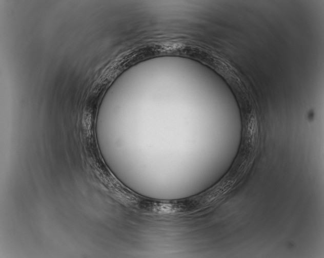 X0000116160565200912141223