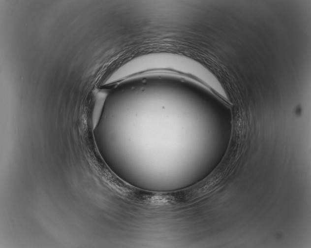 X0000116160566200912141223